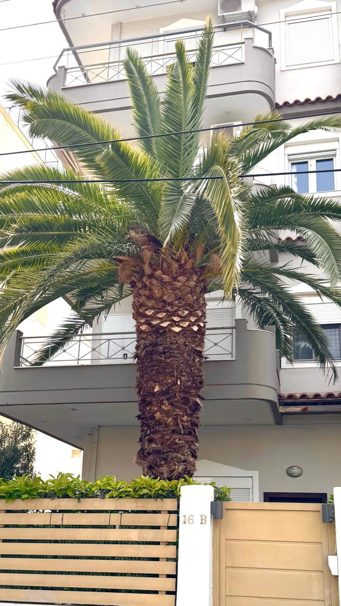 Elegant Glyfada Apartment-Private Garden-Near Metro Афины Экстерьер фото